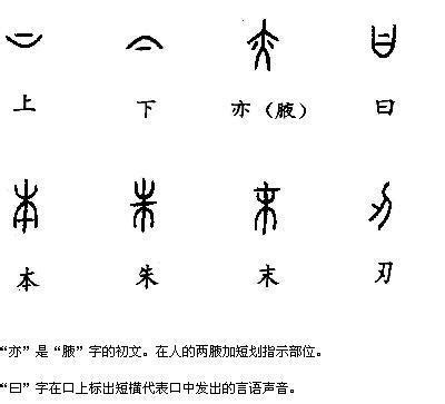 指事字大全|指事字100个举例